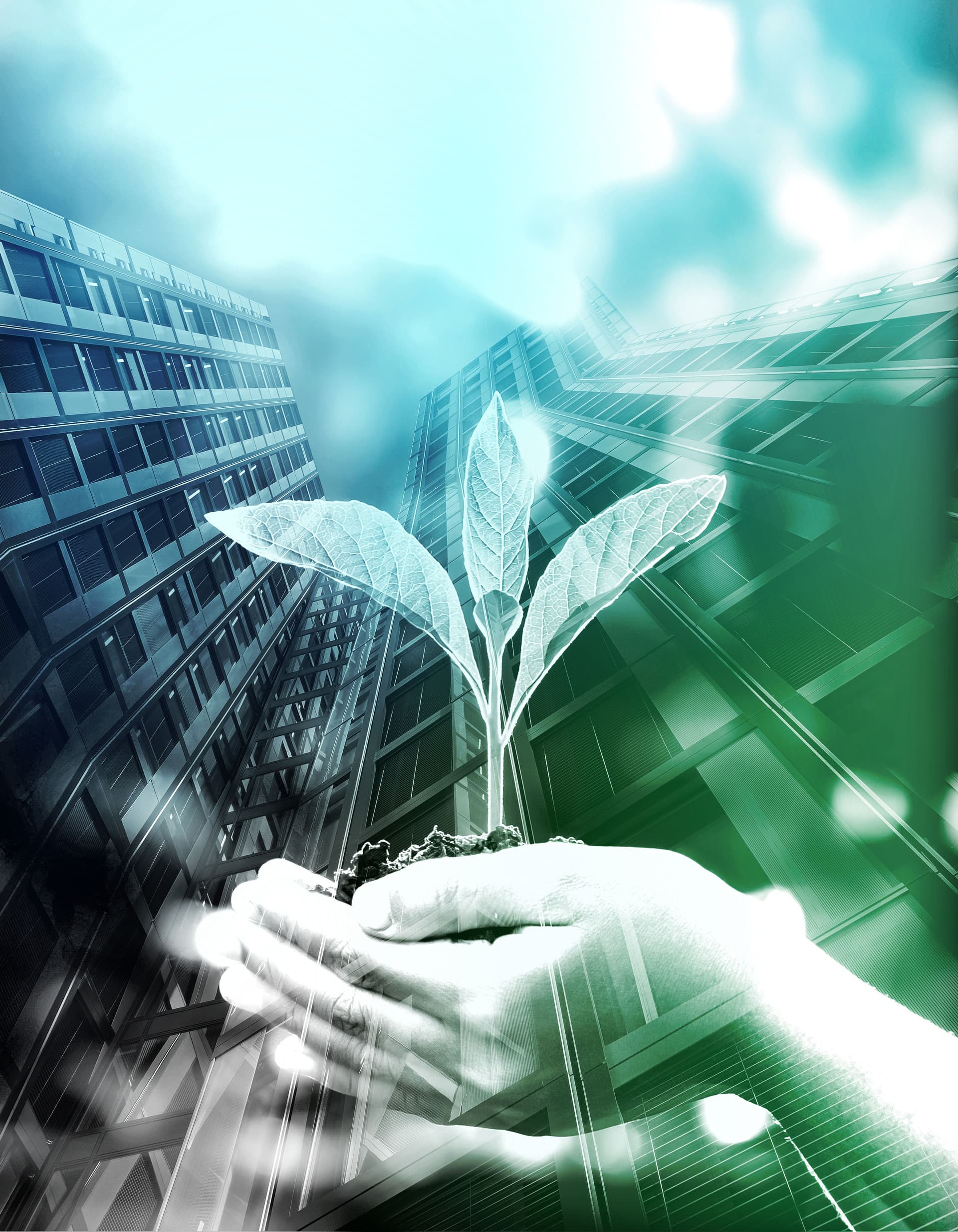 Hände halten Setzling vor modernen Gebäuden, symbolisiert nachhaltige Immobilien und ESG-Investments von SICORE.